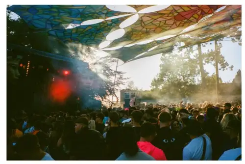 Click Here To Enlarge This Photo Of Into The Woods Festival