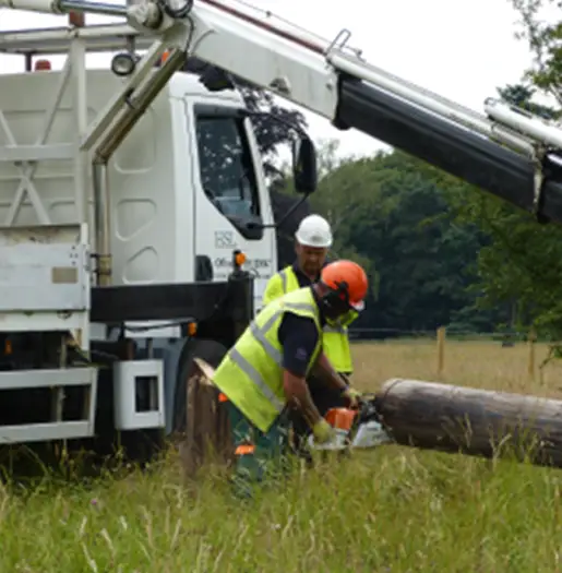 Telegraph Pole <br />Installations